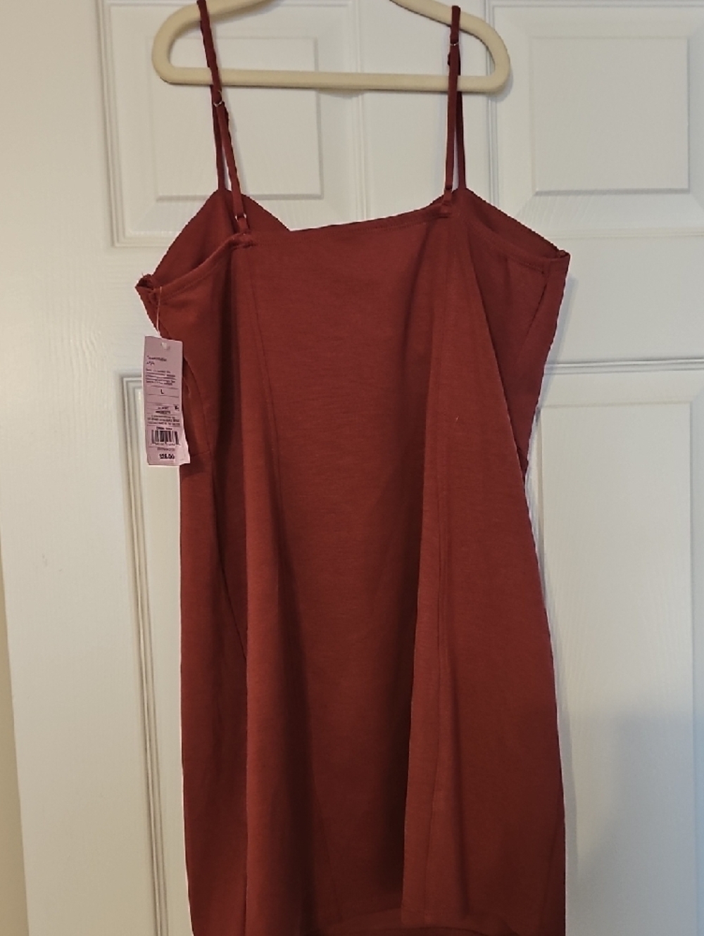 wild fable Rust Red Mini Dress - Picture 5 of 6
